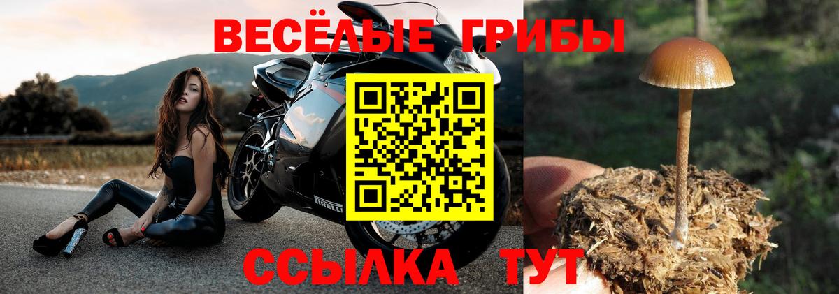 Галлюциногенные грибы прущие грибы  Псилоцибиновые грибы Cubensis  где продают   Гусь-Хрустальный  Вход с VPN 