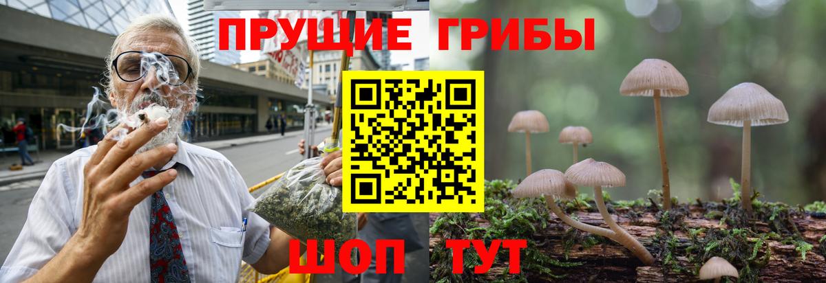 Псилоцибиновые грибы Magic Shrooms Гусь-Хрустальный